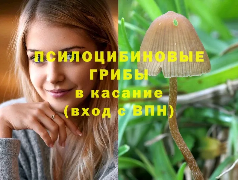 Псилоцибиновые грибы GOLDEN TEACHER  Фролово 